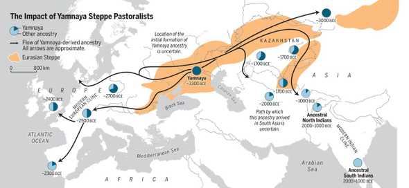 steppe-migration